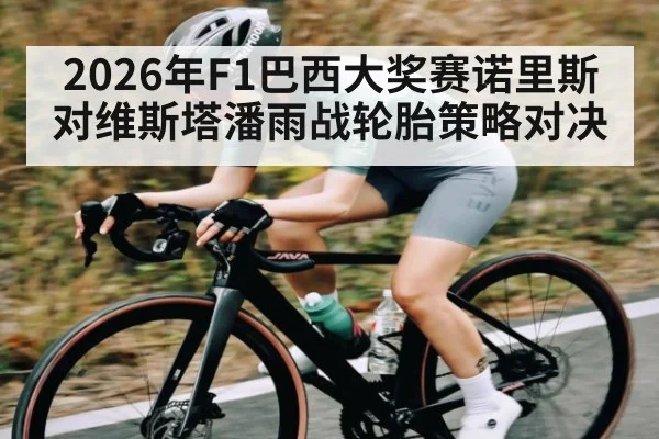 2026年F1巴西大奖赛诺里斯对维斯塔潘雨战轮胎策略对决
